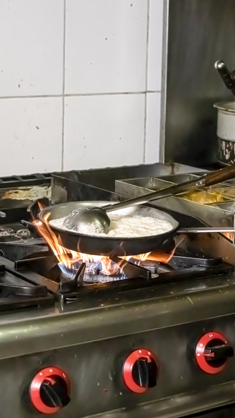 Traditional Indian dish garnished before serving
